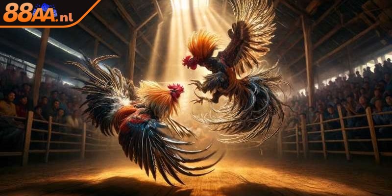 Nền tảng thu hút nhờ chính sách trả thưởng minh bạch